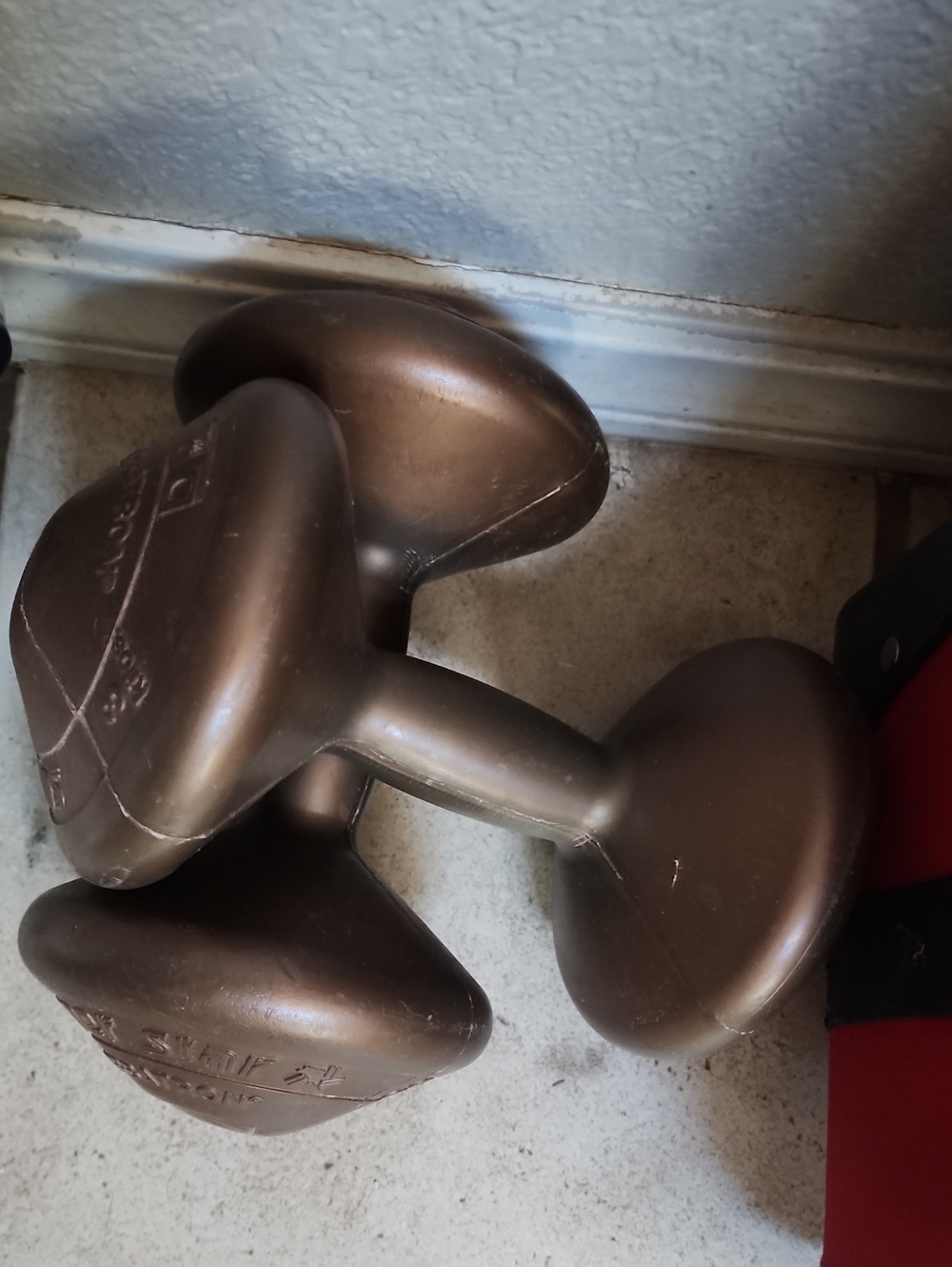 Bronze Toned Dumb Bells